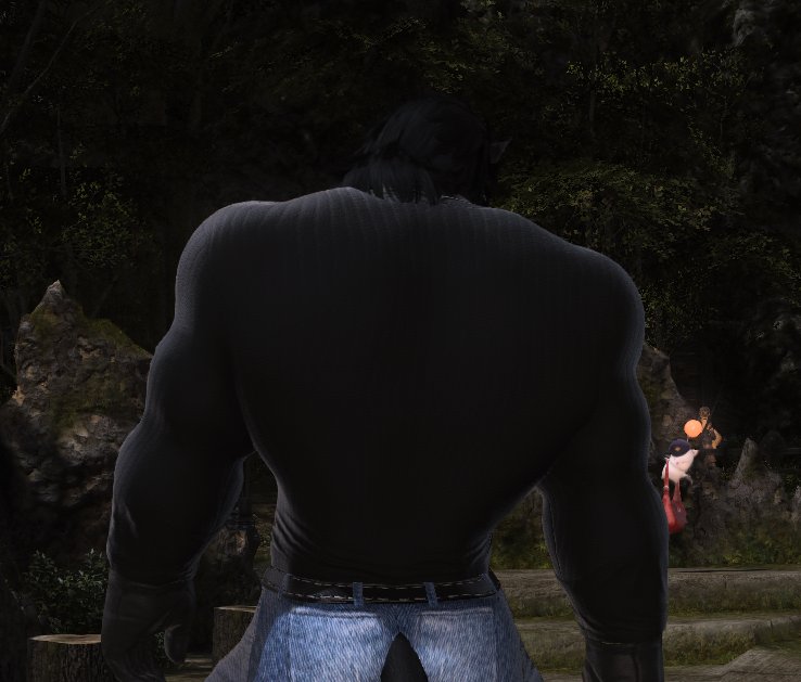 The_Lord_Corvus's tweet photo. BRO, how the fuck am I supposed to play Final Fantasy, when my character has THIS WALL as his back. 

IT COVERS MY ENTIRE SCREEN! https://t.co/U1kBC4AoyP