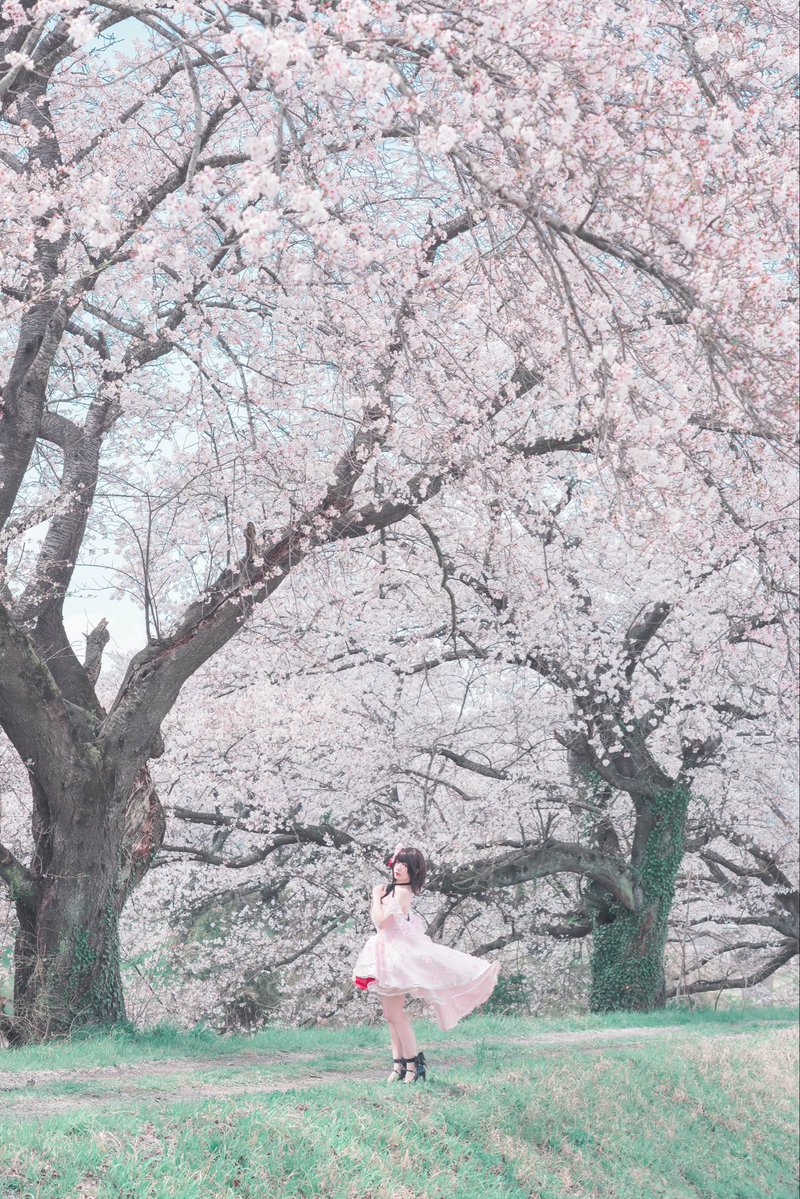 Saya_Zaia's tweet photo. 🌸𝓗𝓪𝓹𝓹𝔂 𝓑𝓲𝓻𝓽𝓱𝓭𝓪𝔂 𝓜𝓮𝓰𝓾𝓶𝓲🌸
🌸 お誕生日おめでとうございます❤️恵🌸

-私は、あなたが望むメインヒロインに、なれたかな？-

Photo thanks @megumisuki_0923 

#冴えカノ #加藤恵誕生祭2026 
#加藤恵生誕祭 
#不起眼女主角培育法fine  #冴えない彼女の育てかた
#加藤恵 #加藤惠 https://t.co/DxaJIz1BoG