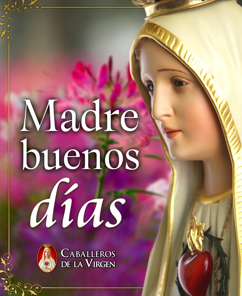 Cab_Virgen's tweet photo. Madre, buenos días. 🌹 Que tu amor maternal nos acompañe desde el comienzo de esta jornada. Ponemos en tus manos nuestras familias, preocupaciones y proyectos. https://t.co/fCYWV0m3En