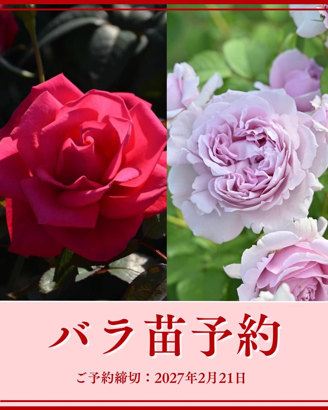 コメリ【公式】 on X: 