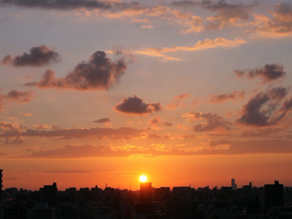 avanzaceo's tweet photo. 今日の  #夕陽　
#あべのハルカス  も 夕陽を浴びて輝いていました
日の入り場所が　かなり　ハルカスから離れてきました https://t.co/u2Zy76yV8x