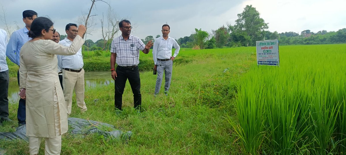 rohtaskvk's tweet photo. Dr. Aakanksha Anand, Deputy Development Commissioner (DDC), Rohtas, visited the farm of Krishi Vigyan Kendra (KVK), Rohtas, Bikramganj, and inspected the natural farming paddy crop being demonstrated at the KVK farm. https://t.co/1TU477Yioz