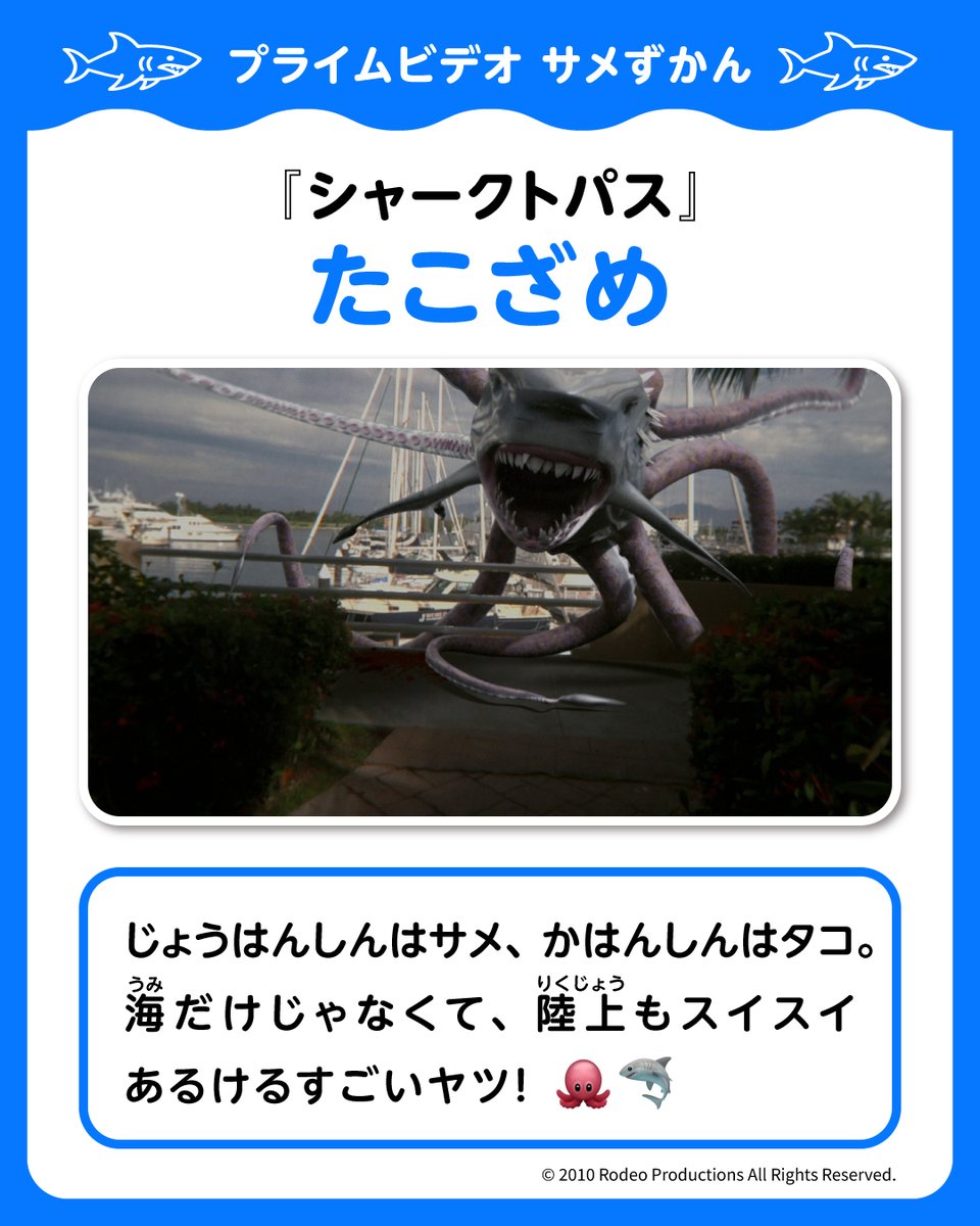 PrimeVideo_JP's tweet photo. サメとタコが合体！？
陸の上でも逃げられないかも…🐙🦈

プライムビデオに潜む
【ちょっとおかしなサメたち】を紹介するサメ図鑑📖

エントリーNo.3：たこざめ

『シャークトパス』
見放題配信中

――明日は人間が作った巨大なヤツが登場！👀 https://t.co/ZohCQav03r