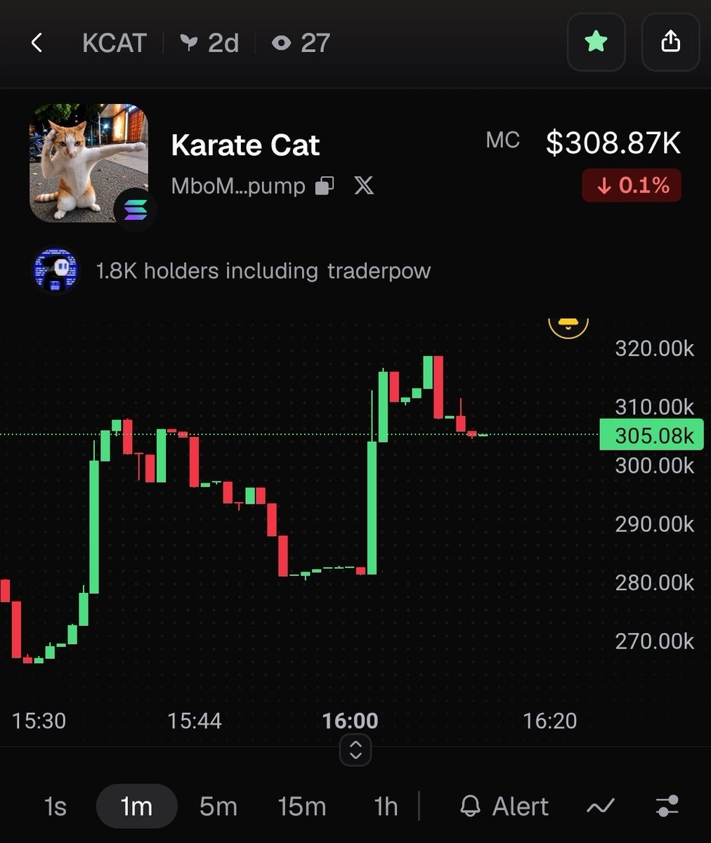 senseitbro's tweet photo. @theunipcs $KCAT Karate Cat // most viral @thekaratecatsol https://t.co/kaOIG309Rt