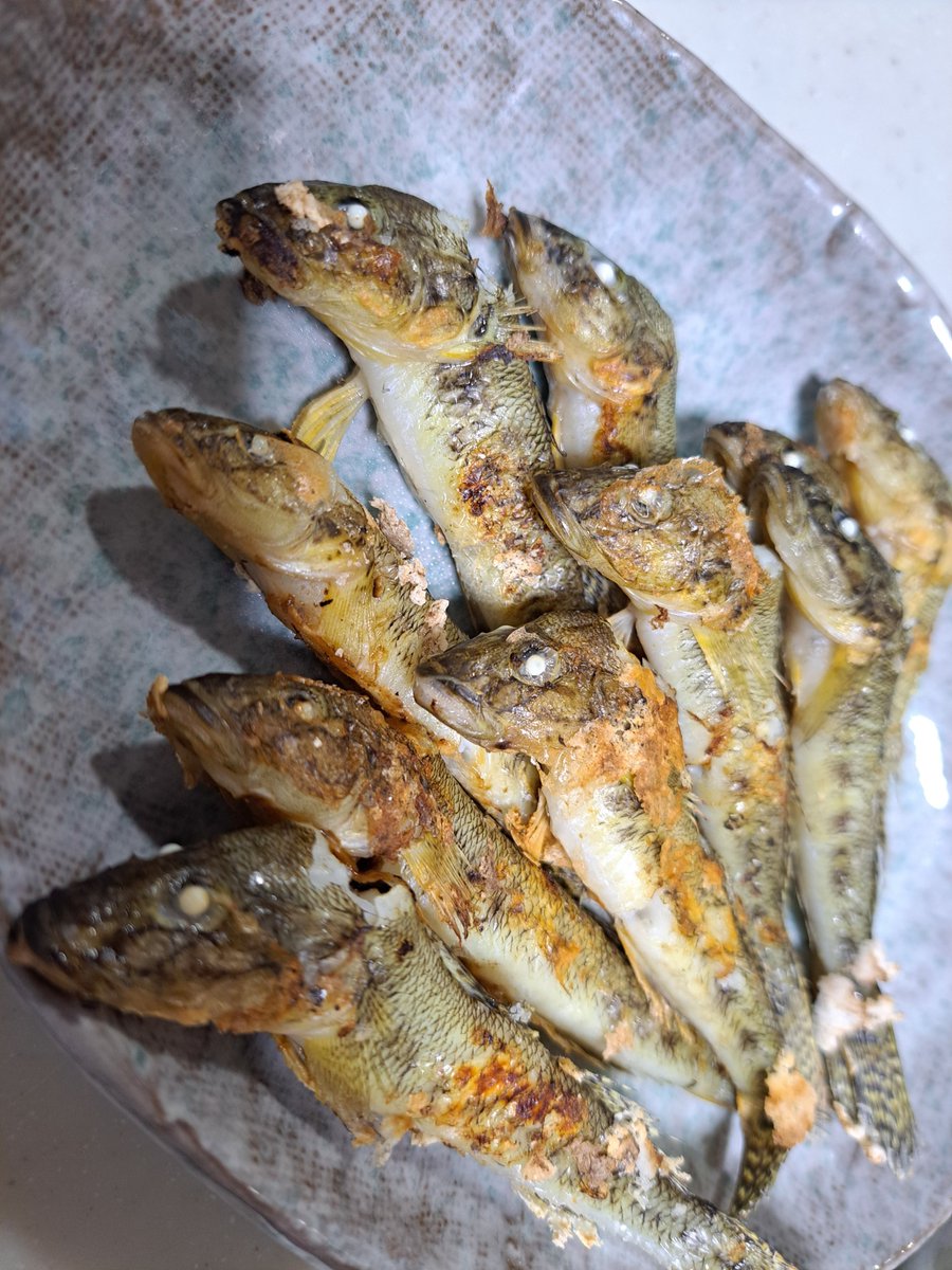 utyotenstyle's tweet photo. 前々から食ってみたかった、ハゼの塩焼き！ https://t.co/Yi9rcOTyh5