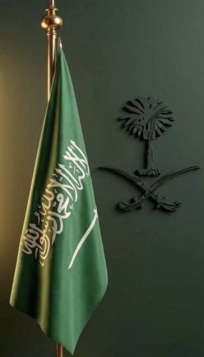 BZVA0's tweet photo. @lumirentalco 🌿🇸🇦🌿🇸🇦🌿🇸🇦🌿🇸🇦🌿🇸🇦🌿🇸🇦
• النخلة 🌴: للخير، العطاء، النماء، والرخاء والحيوية.
• السيفين ⚔️:  يرمز السيف للقوة، والمنعة، والدفاع عن الحق وردع المعتدي

🇸🇦🌴💚🇸🇦🌴🇸🇦
🟩💚🟩💚🟩
@lumirentalco https://t.co/Z8Nvu8JuJZ