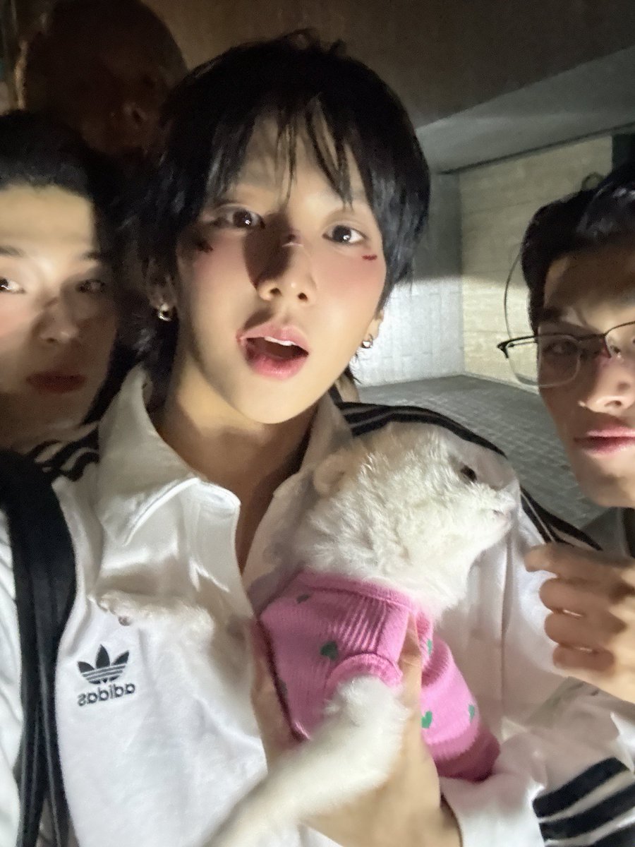 daainiida's tweet photo. 기요미끼리 사진 찍엇내!!(뒤를 절대 보지마…) https://t.co/ql7rfRpmLZ