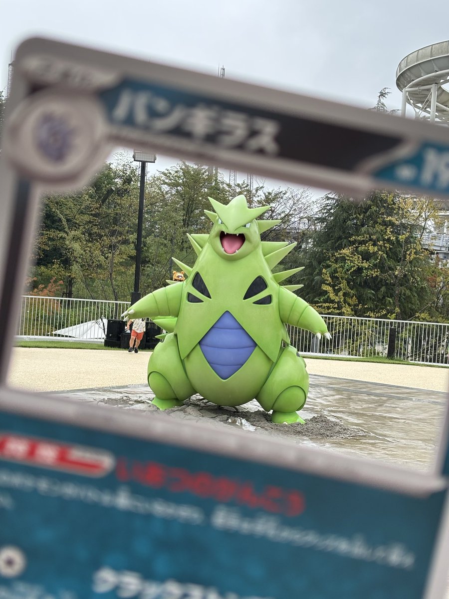 gontaka_'s tweet photo. 今日連れて行った子達と、どう頑張ってもピントが合わないポケカ写真
連れてきた子みんなポケモンセンターに預けられたら嬉しいなって思ってた😳 https://t.co/oqf6wZNUK0