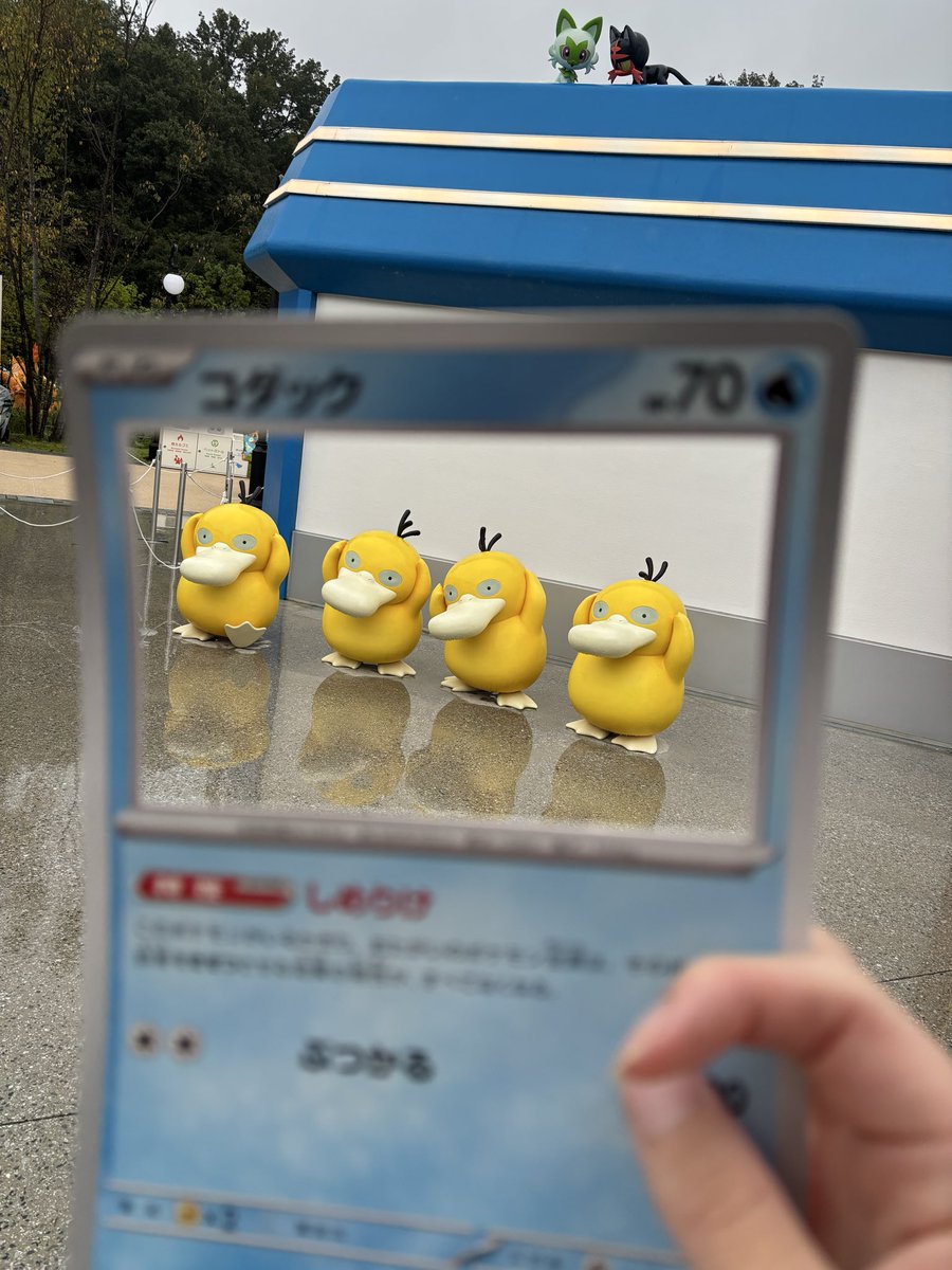 gontaka_'s tweet photo. 今日連れて行った子達と、どう頑張ってもピントが合わないポケカ写真
連れてきた子みんなポケモンセンターに預けられたら嬉しいなって思ってた😳 https://t.co/oqf6wZNUK0