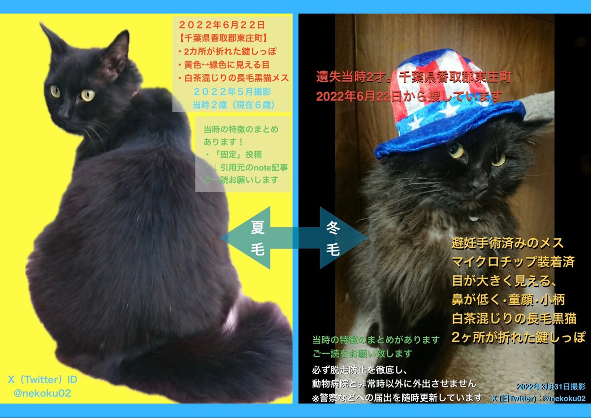 nekoku02's tweet photo. 【千葉県香取郡東庄町 長毛黒猫くー♀を探してます】💬欄に詳細：マイクロチップを装着させた、2ヶ所が折れた鍵しっぽの成猫です。行方不明になった夜からずっと探しています

⭕️光の加減で黄↔︎緑に見える目
⭕️成猫のメスらしい大きさ

#東庄町 石出 '22年6/22 成田線 下総橘駅 香取市 旭 銚子 神栖 https://t.co/u1uCY3A5OC
