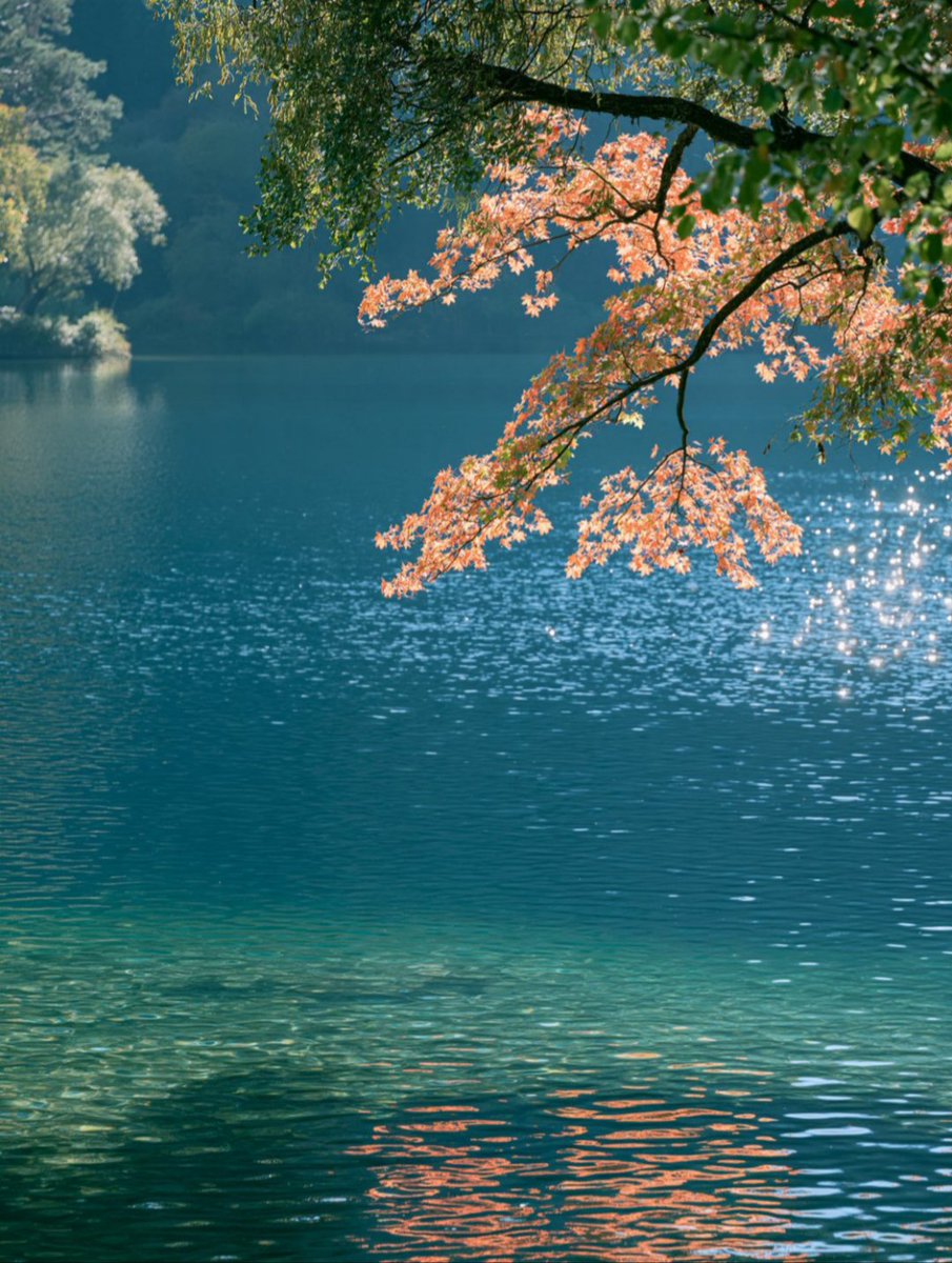 Fabiana54091377 tweet picture