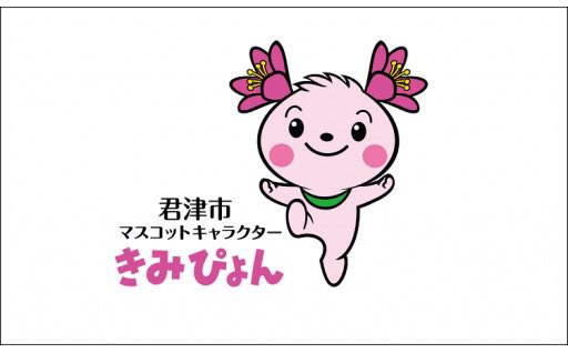 dancing_omstar's tweet photo. やっとふるさと納税の申込完了した！
今年も大好きな君津市に寄付☺️ https://t.co/PVKyrbgVdd