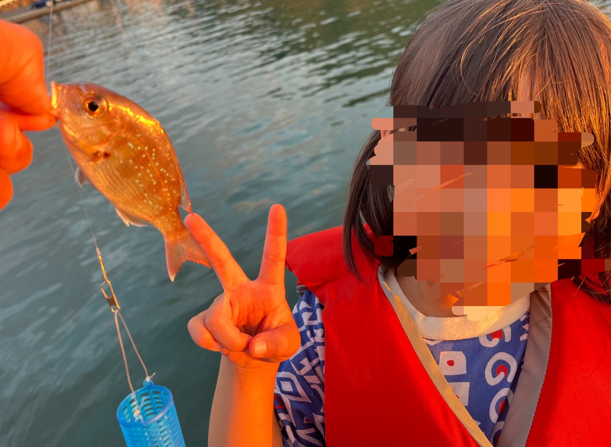 untroddenhigh21's tweet photo. シルバーウィークならぬシルバーデイだった我が家。
ケツと横っ腹に魔貫光殺砲ザウルス公園、ぶどう、魚釣りを詰め込んだ1日。 https://t.co/kkjJL2lbgP