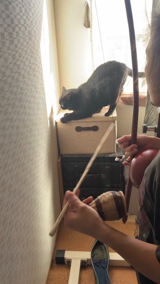 96sukekiyo's tweet photo. 連休中の有意義なこととして、盛岡のさわやビルのis(m)ってお店に発注していたビリンバウ(カポエイラの楽器)のレザーケースを受領しました。出来の素晴らしさもですが、文化的背景が濃くて面白い店主さんと友達になれたのが嬉しい。出会いの引きがいいとまだ楽しく生きられるぞー！って気になれますね https://t.co/FJS2Ih8hUq