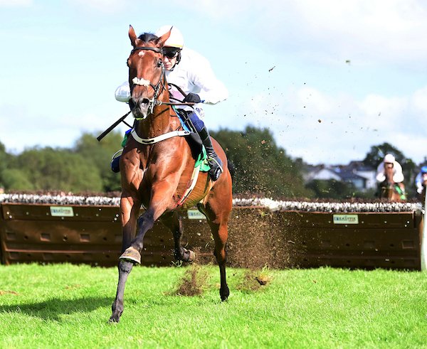 WillieMullinsNH tweet picture
