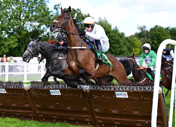 WillieMullinsNH tweet picture