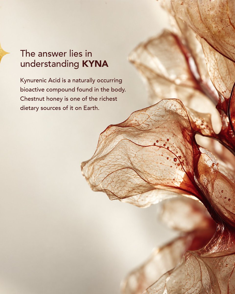 HimalayanT68148's tweet photo. Now that you know what’s within, the more interesting question is: would you make Mârani part of your own daily ritual?

Discover Mârani through the link in bio.

#HimalayanTreasures #MâraniHoney #ChestnutHoney #RarestHoneyOnEarth #KYNA https://t.co/TMNyVxDwq8