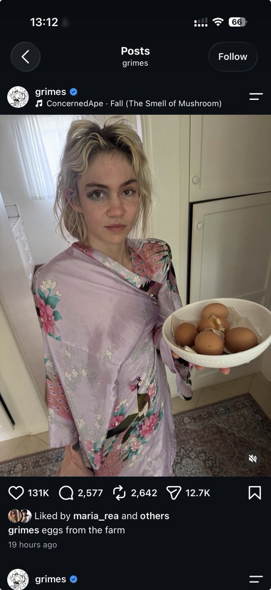 ggsarzi's tweet photo. The artist Grimes has celebrated the latest counterstrike update by posting eggs on her Instagram https://t.co/OZX174qdvz