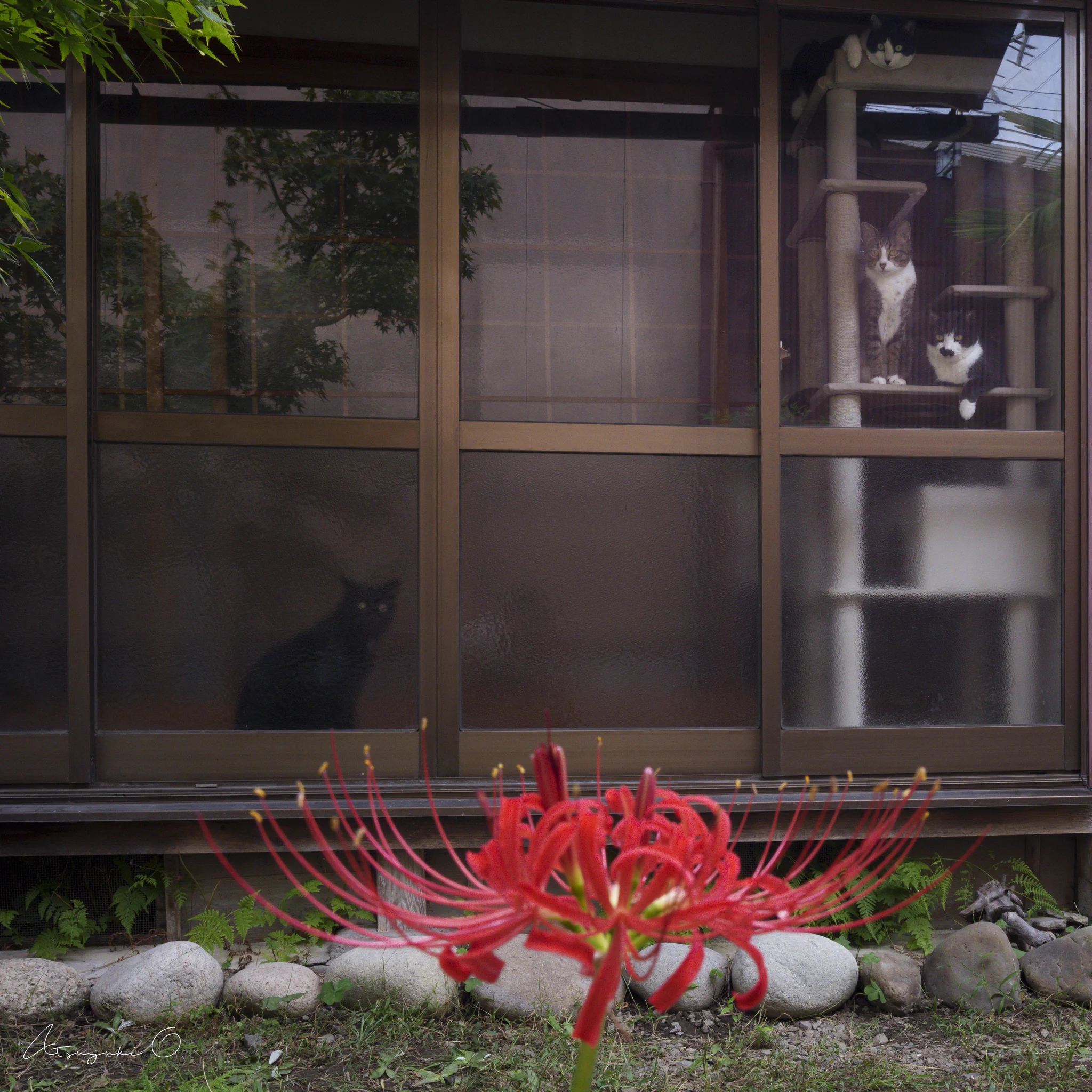 大島 淳之 / Atsuyuki Ohshima (@atyk12) / X