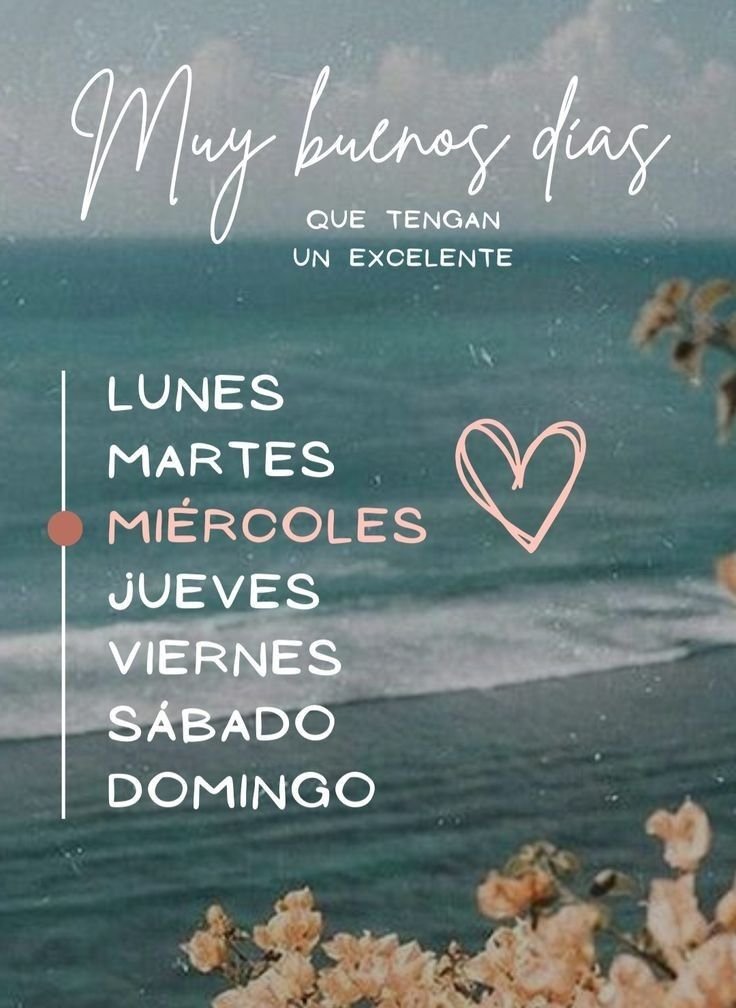 ChocolateCosta's tweet photo. Buen día gente! Si se puede !. https://t.co/pawkVK1y1W