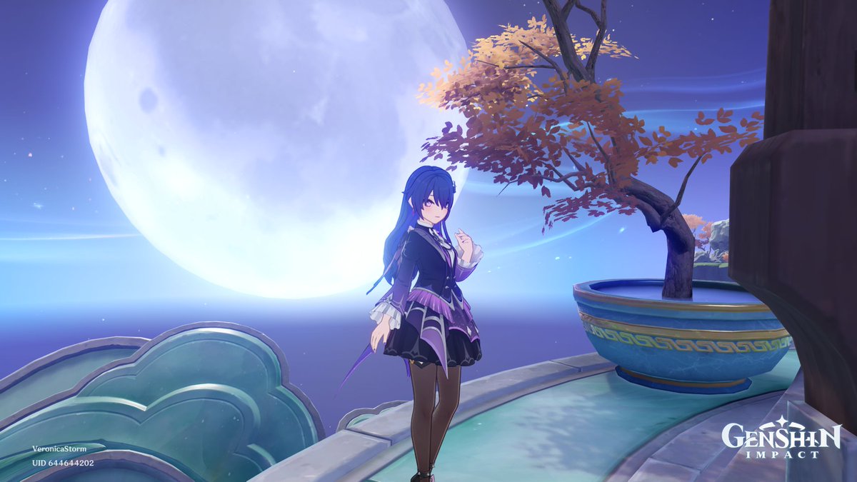 VeronicaStorm98's tweet photo. Twilight Web Outfit Photoshoot: Part 3!🖤💜🕸
#genshinimpact #genshin #miliastrawonderland #miliastra #manekina #screenshots #photography #manekinaphotography #screenshot #videogame #videogames #gachagame #gachagames https://t.co/5JRfMXOICh