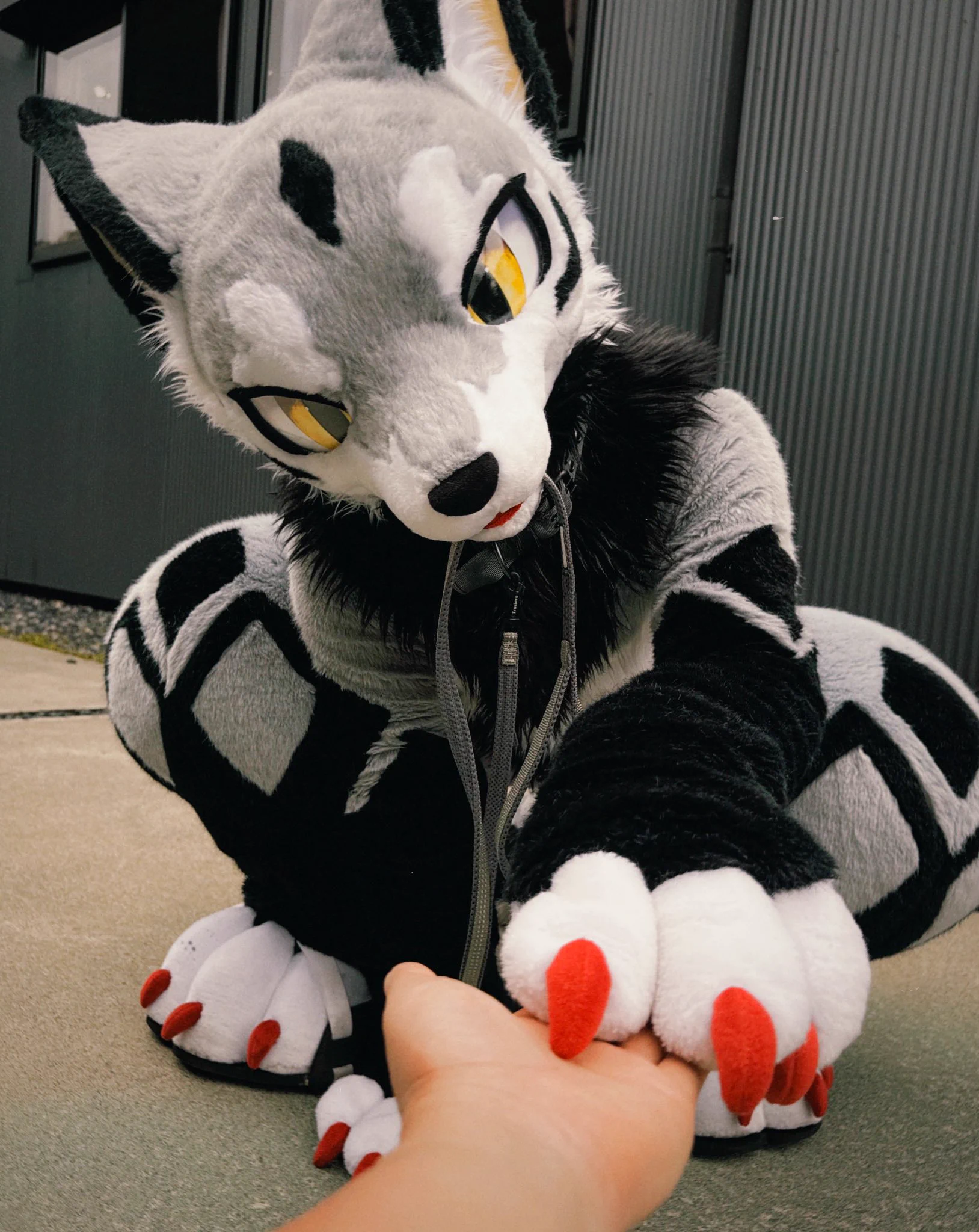 るん (Run)→FUR:RAID (@run_charizard) / X