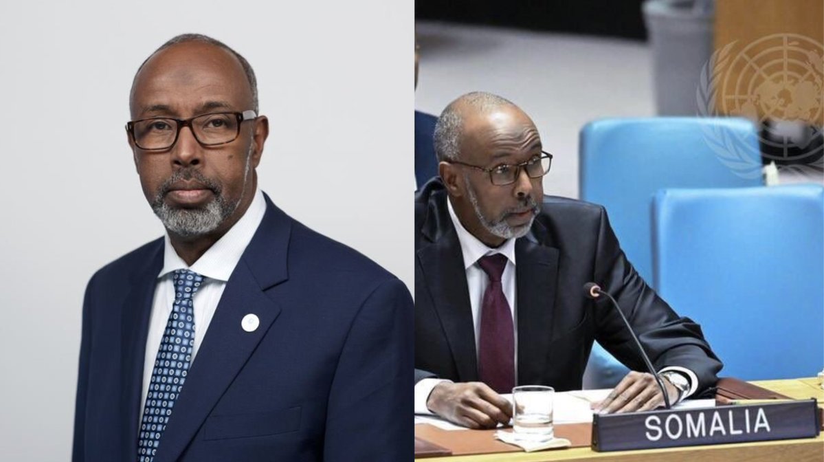 RepOfSomaliland's tweet photo. One of these two people ran a Cincinnati, Ohio home-healthcare company that was later convicted of Medicaid fraud.

The other is Somalia’s Permanent Representative to the UN in New York.

Can you guess which is which? 👀 https://t.co/salF04DQA1