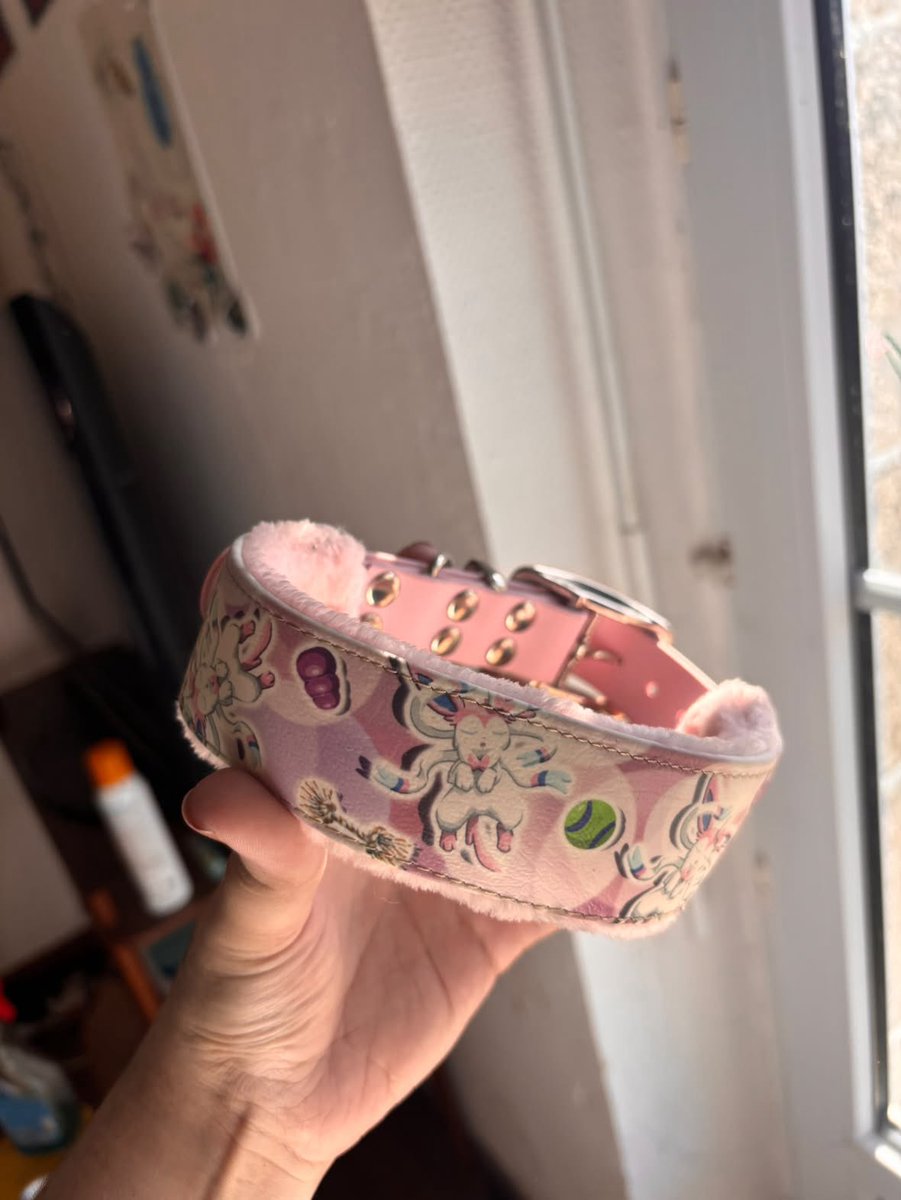 BlueberryPanss's tweet photo. Un chien pour rembourser le collier de ma chienne ? 🫣🫣

#findom #soumis #moneyslave https://t.co/ZgGOpL8oNY
