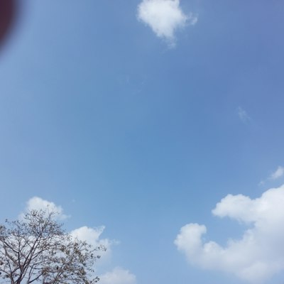 ChiddisterJr's tweet photo. 朝日が当たる角度で、いつもの部屋がなんか違う景色に見える。こういう小さなときめきって大事だな〜☀️ https://t.co/hMkFVdF2p0