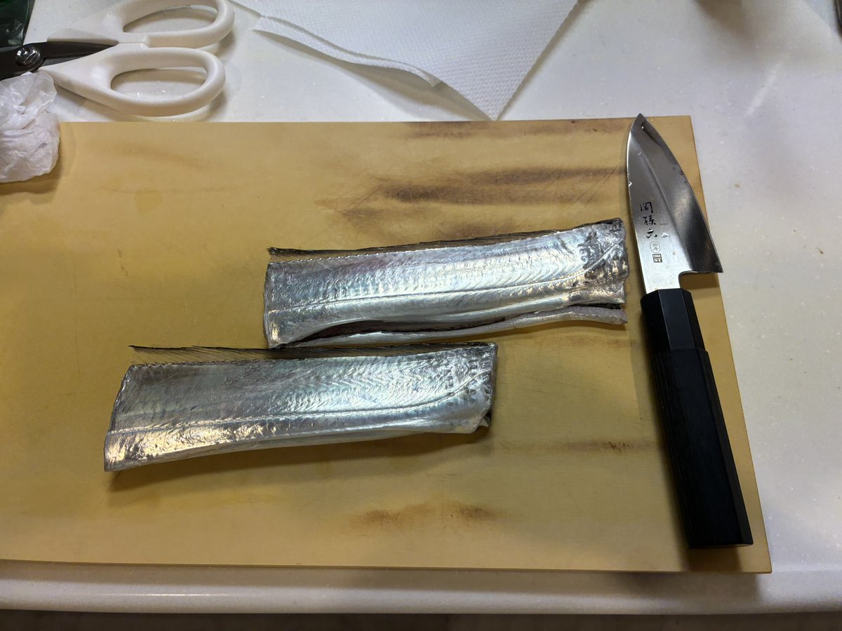 BANDlT_RR's tweet photo. 綺麗な魚体と鮮度を保って持ち帰るのがポリシー。命を頂いてるのでね。
魚バサミ以外は触れずに脊椎切って動き止めて、エラ切って体内の血を抜いて、最後に大動脈切って残りの血を抜く。
諸説あるけど経験上これが1番身が綺麗。
余裕あって並べて撮る時はそーっと置いてる笑 https://t.co/u1OzHYFKmU