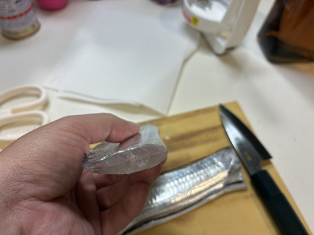 BANDlT_RR's tweet photo. 綺麗な魚体と鮮度を保って持ち帰るのがポリシー。命を頂いてるのでね。
魚バサミ以外は触れずに脊椎切って動き止めて、エラ切って体内の血を抜いて、最後に大動脈切って残りの血を抜く。
諸説あるけど経験上これが1番身が綺麗。
余裕あって並べて撮る時はそーっと置いてる笑 https://t.co/u1OzHYFKmU