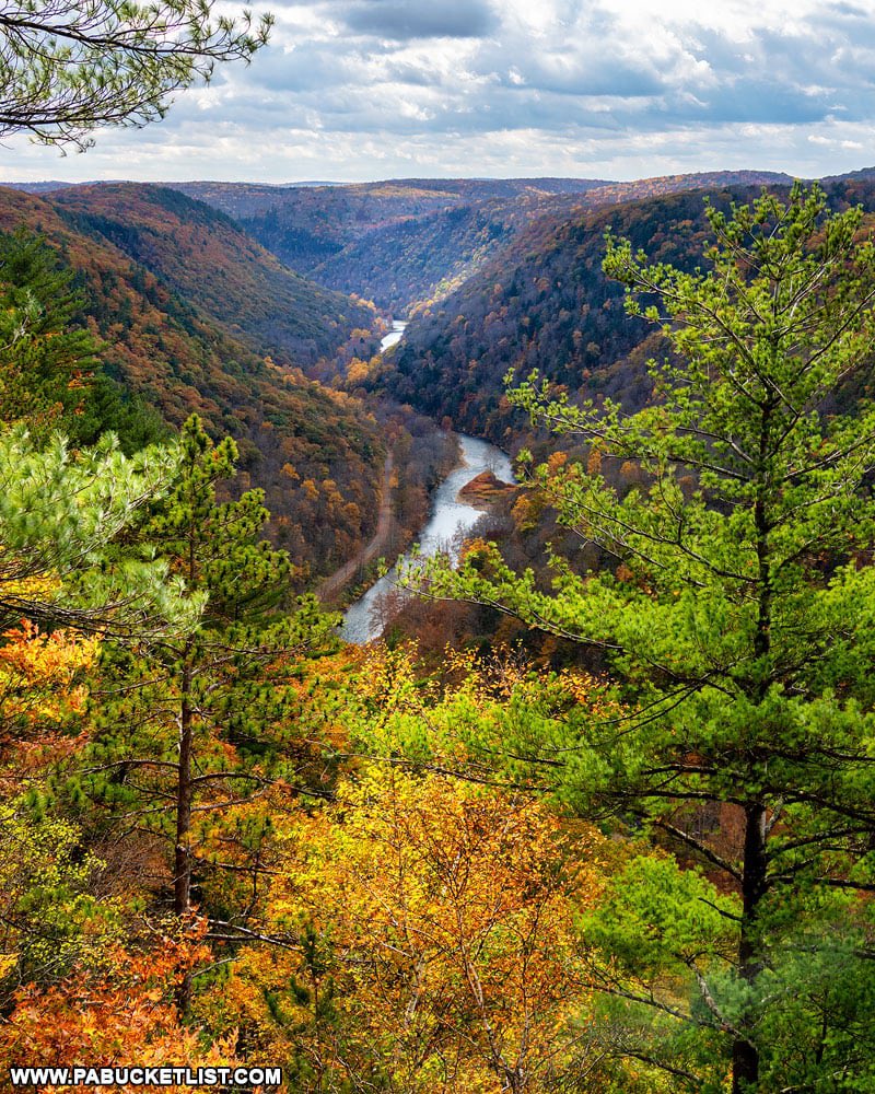 gorski_lion's tweet photo. Happy official fist day of the Fall Season to all who celebrate. 
#PaGrandCanyon
#PaWilds
#BeatWisconsin
#WeAre https://t.co/hx0LOPyO6v
