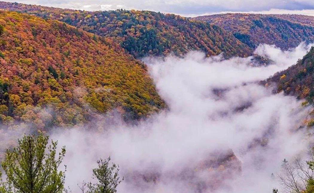 gorski_lion's tweet photo. Happy official fist day of the Fall Season to all who celebrate. 
#PaGrandCanyon
#PaWilds
#BeatWisconsin
#WeAre https://t.co/hx0LOPyO6v