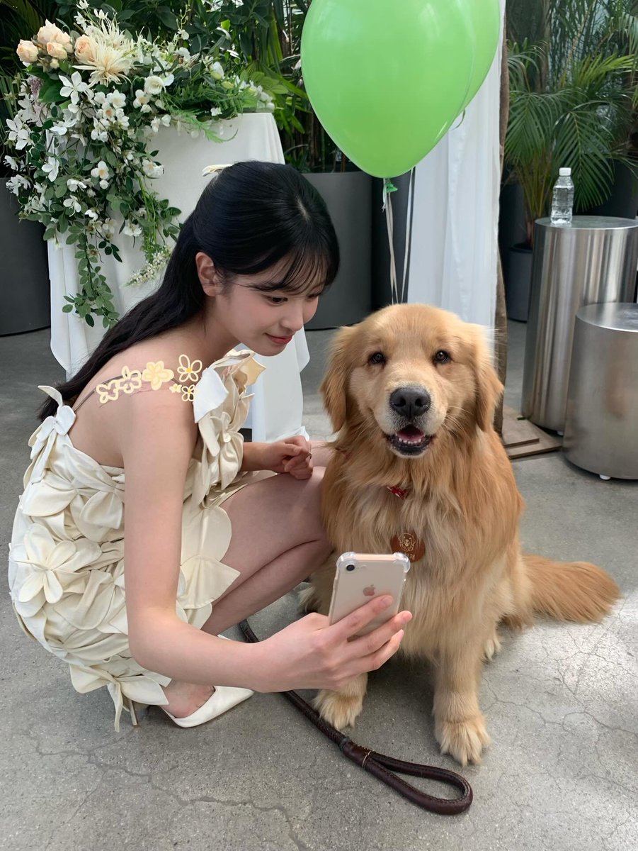 ohyejur's tweet photo. this dress legit felt like i was wearing flower petals the whole time it was so pretty like look at all that detail!! then we bumped into this sweet golden retriever. look at his perfect smile. we look like we’re besties. he’s so cute >_< https://t.co/j37EPklAcN