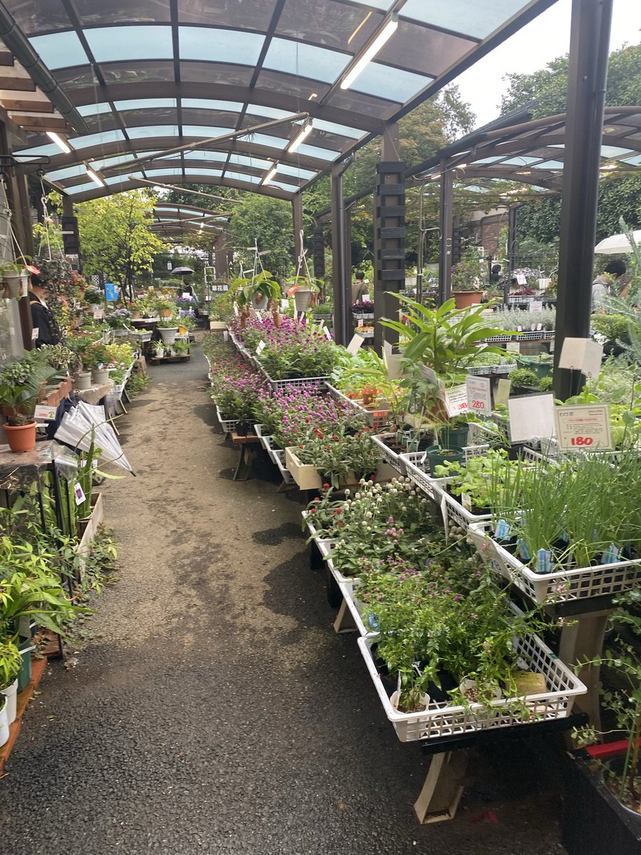 visionsCreation's tweet photo. シルバーウィークは
素敵な園芸店を訪れました☺️

しかも練馬から激近で
素敵なカフェも併設されてます。
また、行きたい🥳
#渋谷園芸 https://t.co/e6426ygRqo