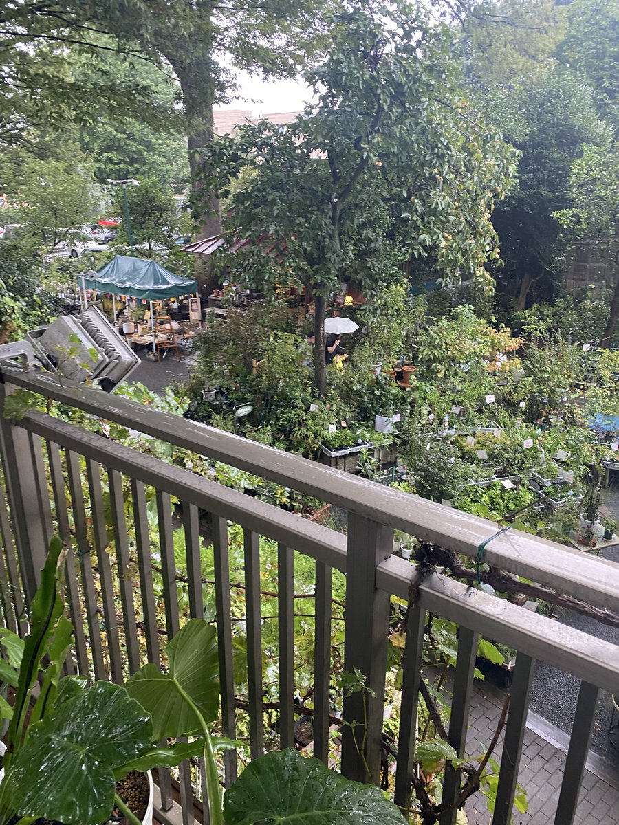 visionsCreation's tweet photo. シルバーウィークは
素敵な園芸店を訪れました☺️

しかも練馬から激近で
素敵なカフェも併設されてます。
また、行きたい🥳
#渋谷園芸 https://t.co/e6426ygRqo