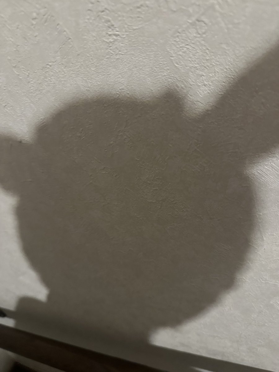 pochi___p's tweet photo. 階段降りる時の伊東さんのシルエットこれでいつも癒される https://t.co/VzdTcLKsdp