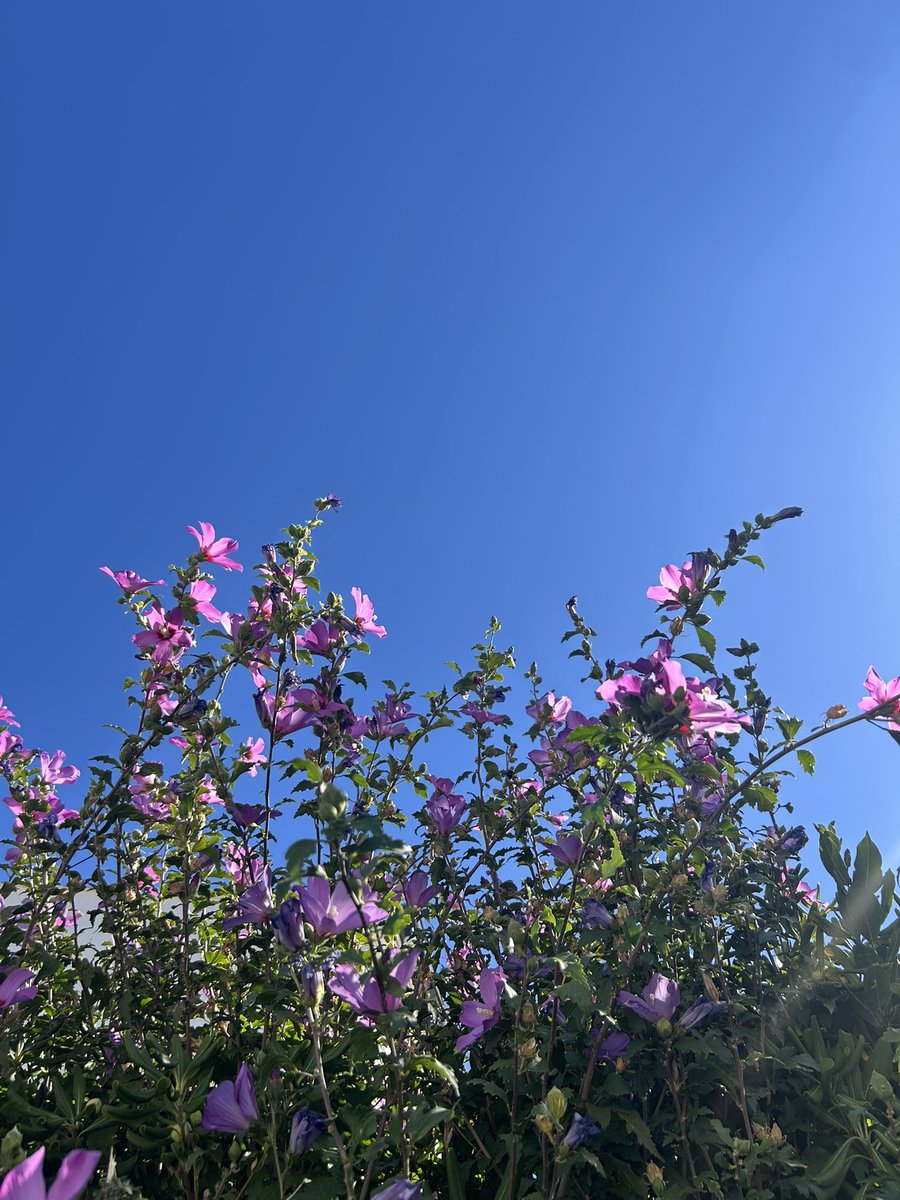 kallypygos's tweet photo. Photo 1 : Chez Marius π
#Mabon #Automne #FirstDayOfAutumn π https://t.co/ioRjmuFb2G