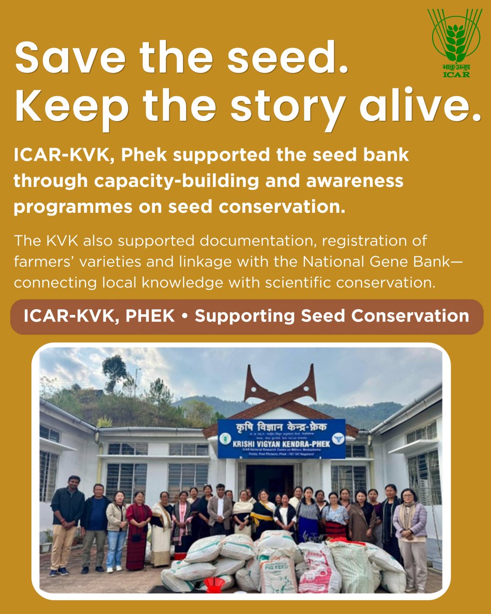 icarindia's tweet photo. In Chizami, Nagaland, women-led seed conservation is protecting 200+ indigenous crop varieties. With ICAR-KVK, Phek, 8 traditional paddy landraces are now conserved nationally. @ChouhanShivraj @mpbhagirathbjp @RNK_Thakur @AgriGoI @mygovindia @PIB_India https://t.co/e1k6OW7vzO