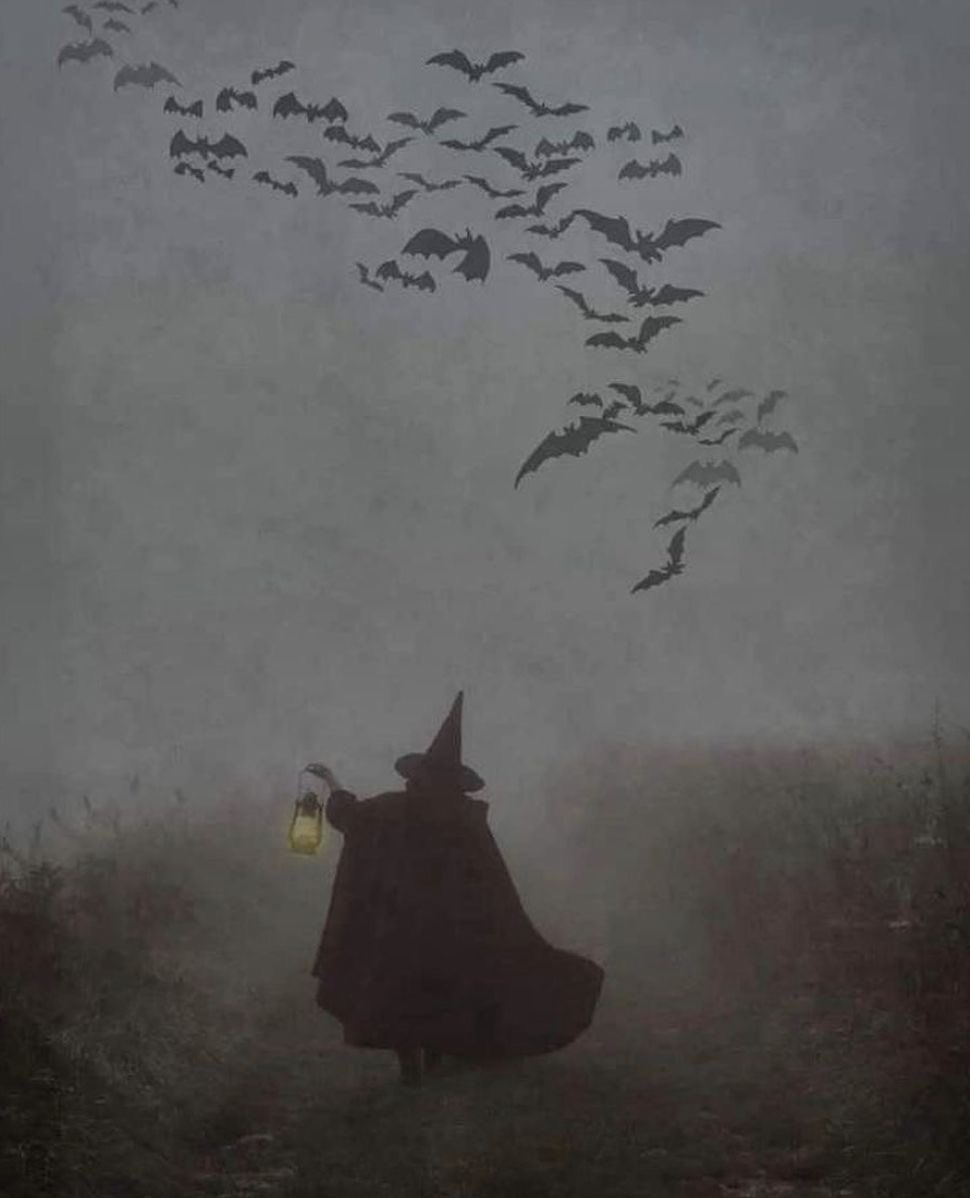 thespookygirll's tweet photo. 8 more days till it’s the first day of october 🖤🐈‍⬛ https://t.co/MZMLoC6NEs