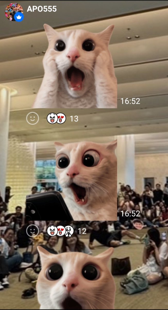 kyozahangdong's tweet photo. เด๋วเถอะยัยแมว รัวสติ๊กเกอร์ เด๋วโดนไลน์บล็อกอีก 🤣

#ApoNattawin https://t.co/Uealsz5Sab