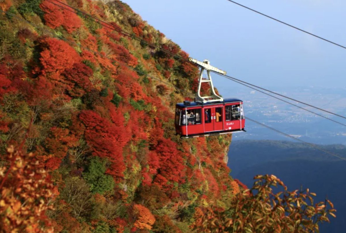 JapanEmb_Spain's tweet photo. Hoy llega el #Otoño y #Japón se llena de tonos rojizos y dorados 🍂

En este post de #JNTO nos dan una guía de cosas que hacer y eventos que tener en cuenta si visitamos Japón en esta estación del año 🤩
https://t.co/rG5mMDHddL https://t.co/0dbWwC5c8r