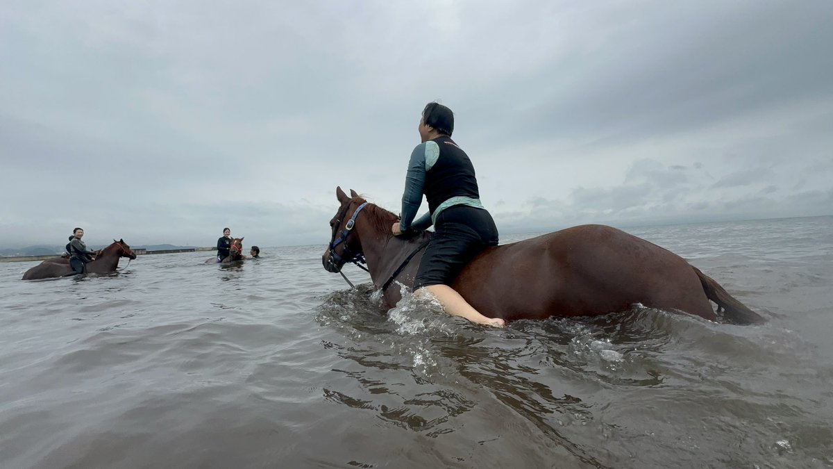 Bakitter's tweet photo. 今日は馬といっても、海に馬と入って戯れるの巻き
結構体幹勝負で必死😆
尻尾につかまり、爆走するのは鼻に水入ったりしたけど楽しかったっす https://t.co/ZsqY65DmYb