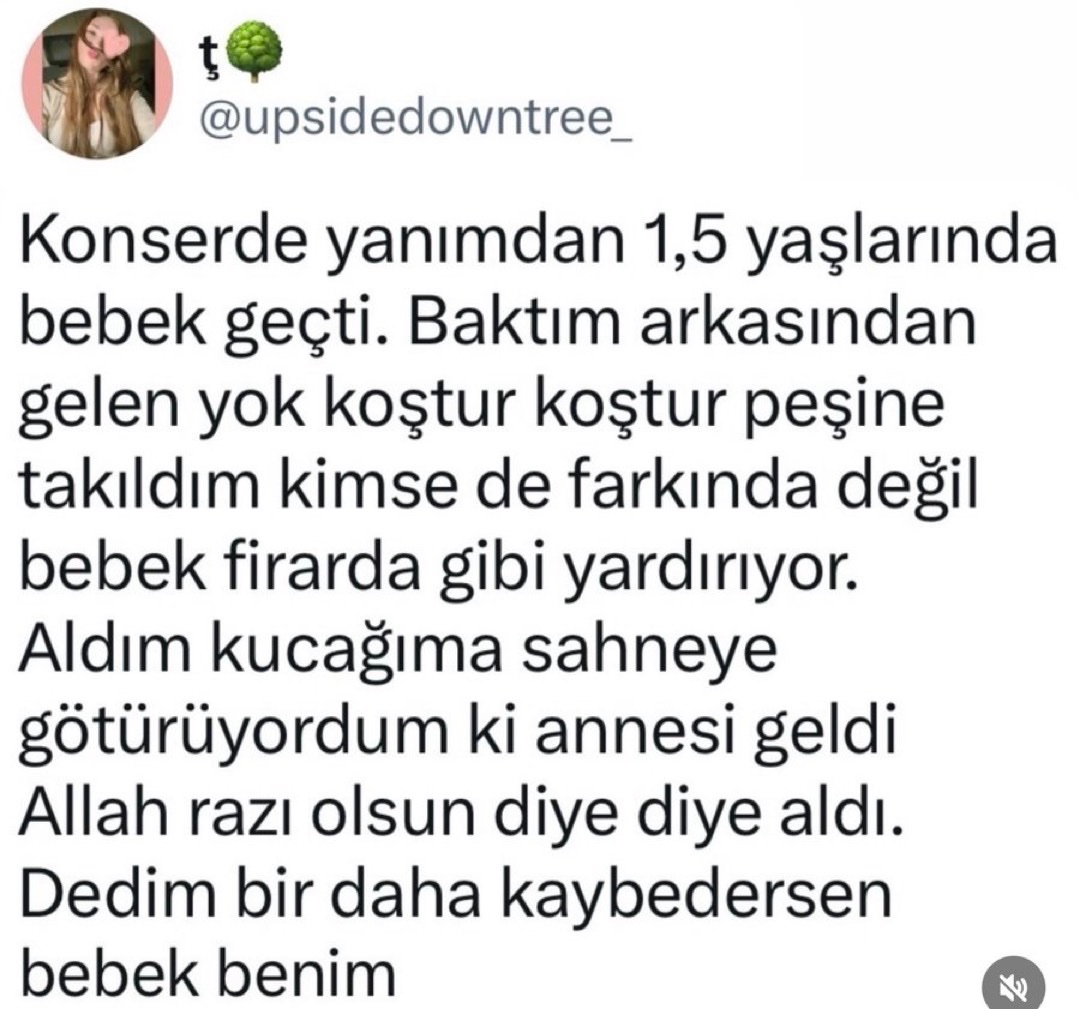 alniopulesitivt's tweet photo. https://t.co/aw5wzCWmcB