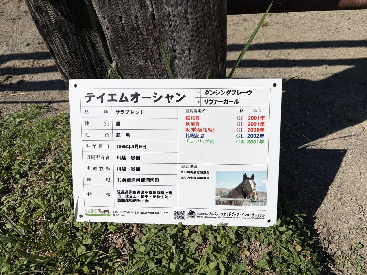 subaruru_dq10's tweet photo. 今日はテイエムオーシャンを見学させていただきました。

馬体も綺麗で大きくてカッコよかったです。

御機嫌よかったみたいで、近づいて来てくれて、並んで撮影出来たのが凄い思い出になりました。

ありがとうございました。 https://t.co/KpqijgYuW3