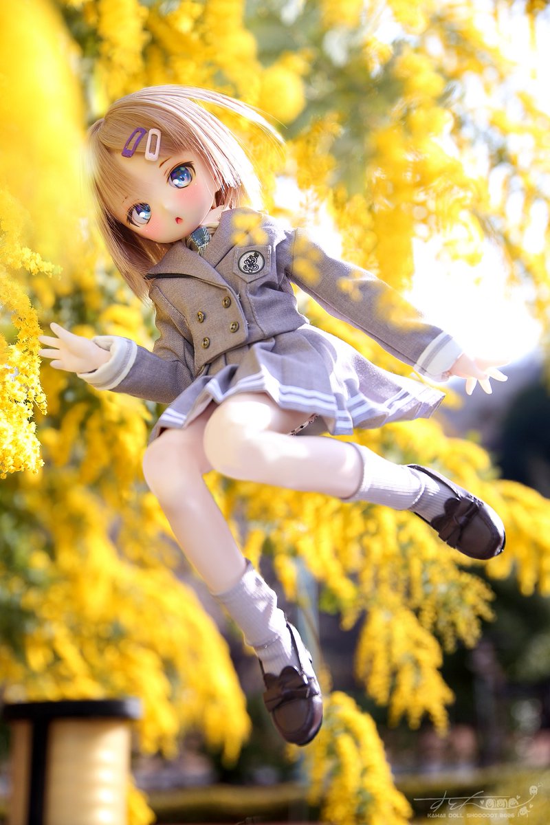 graysuton1's tweet photo. ぼちぼち12月のアイドールの準備を始めてるんですが写真集の新刊を(๑°Δ°๑)(⩌⩊⩌)どっちにするか一生悩んでます🤔ｳｰﾝ https://t.co/cvtPsj15Xg