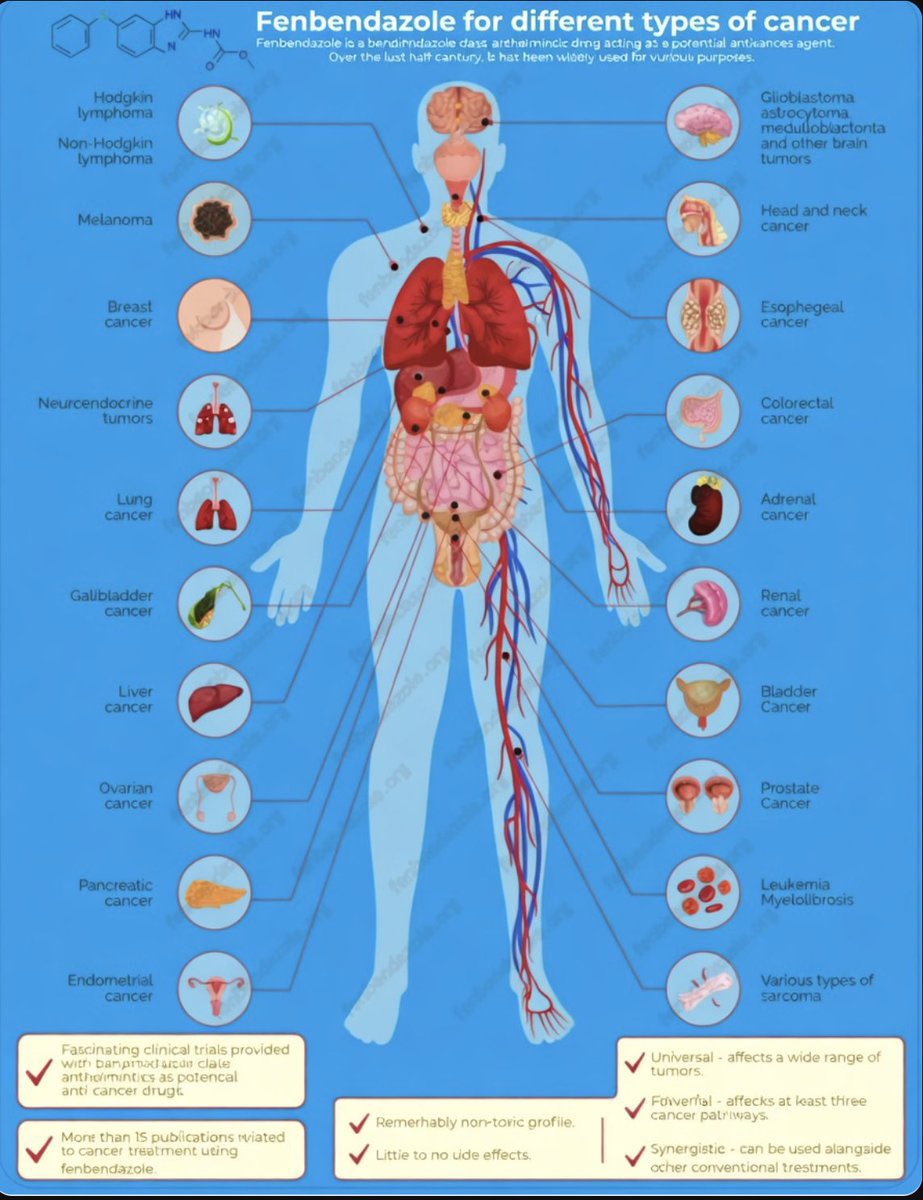 Wmakisprotocol's tweet photo. 🚨 THEY'VE BEEN HIDING THIS FROM US! 

Fenbendazole — that cheap, common animal dewormer — is under serious research for fighting 20+ cancer types: lung, breast, colorectal, brain tumors, lymphoma, prostate, pancreatic, ovarian, melanoma, sarcomas & more.

This infographic breaks it down: preclinical lab & animal studies show it slams cancer cells by disrupting microtubules, triggering apoptosis, and packing a surprisingly mild side-effect profile. 

Fascinating science worth watching. Hidden miracle cure?