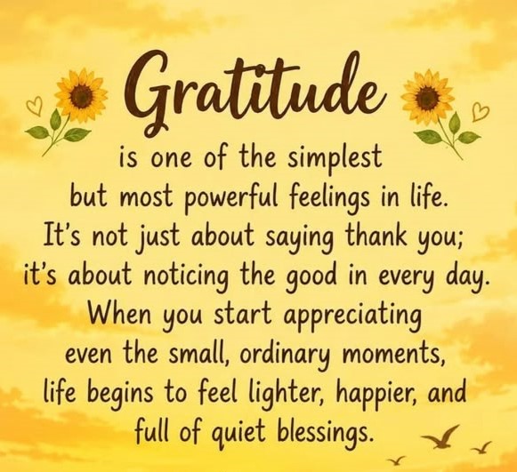 Linda_4040's tweet photo. 🌻💛🌻 https://t.co/slJS2SeKSo