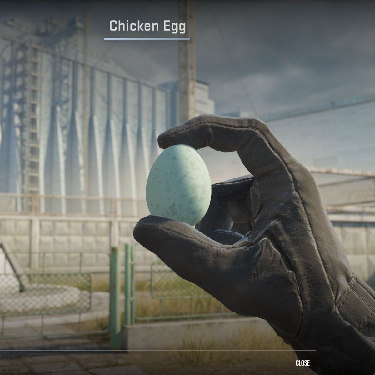 Dexerto's tweet photo. CS2 has added pet chickens that players can hatch, raise and collect

There are 35 different chicken skins, and players can even pet them https://t.co/F1DmUt8h69