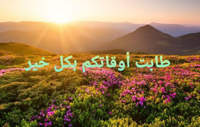 Barakaism's tweet photo. يقول الله تبارك وتعالى:(( وَلَهُ مَا سَكَنَ فِي اللَّيْلِ وَالنَّهَارِ ۚ وَهُوَ السَّمِيعُ الْعَلِيمُ))

- And to Him (Allah-Almighty) belongs that which reposes by night and by day, and He (Allah-Almighty) is the Hearing, the Knowing.

#القرآن_الكريم 
#quran https://t.co/YrBleTjO04